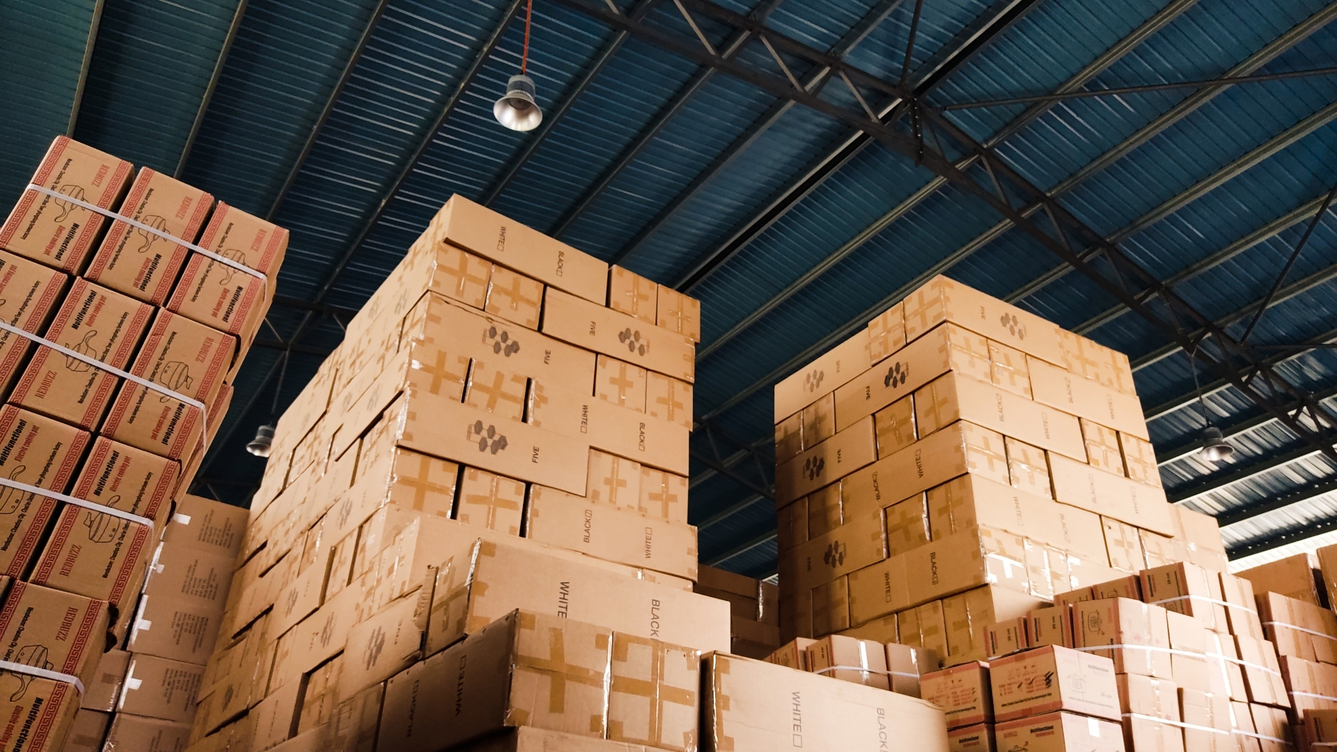 Specialized Warehouse Management